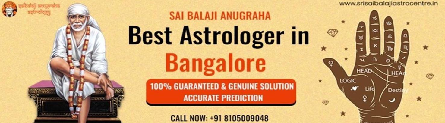 Srisaibalaji Astrocentre