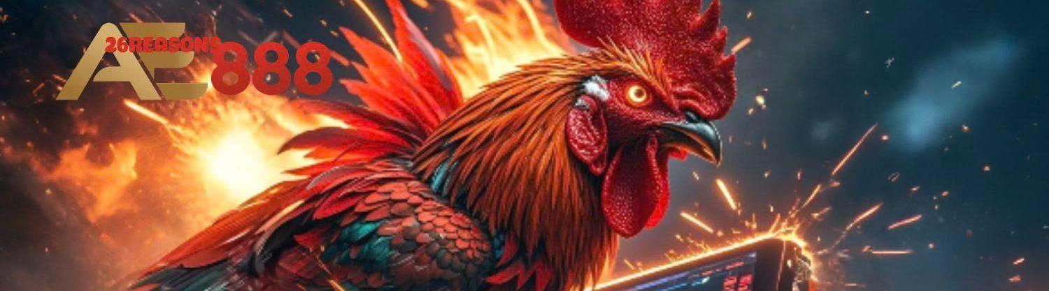 Đ&Aacute; G&Agrave; TRỰC TIẾP