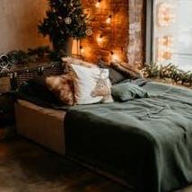 Purva Northern Lights