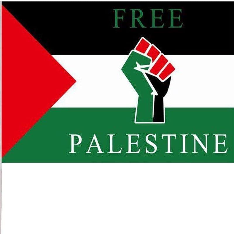 Palestine  Solidarity