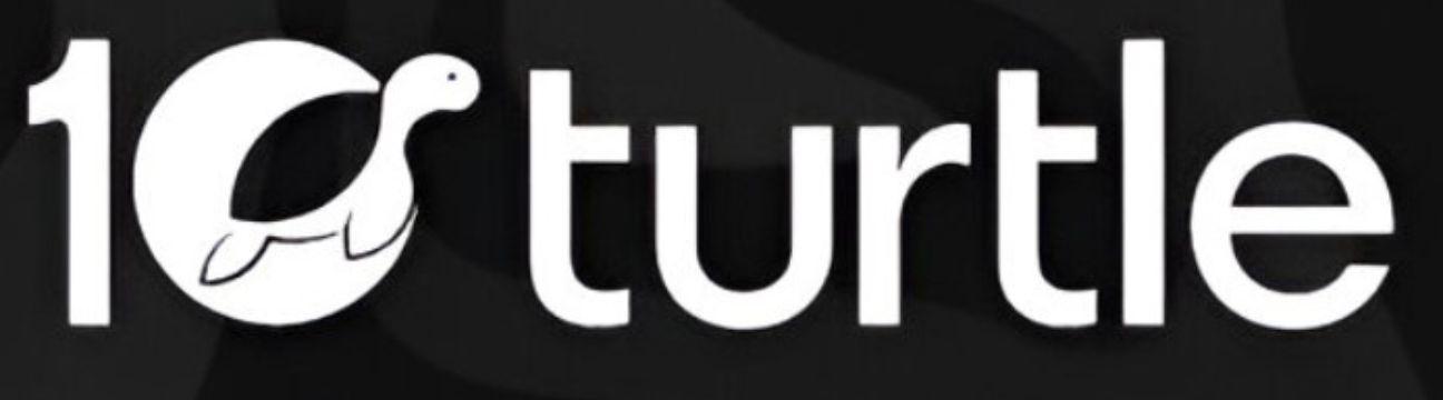 10turtle global