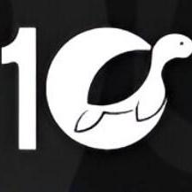10turtle global