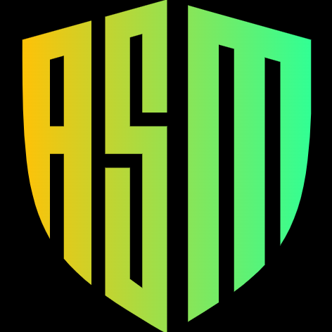 AppSecMaster LLC