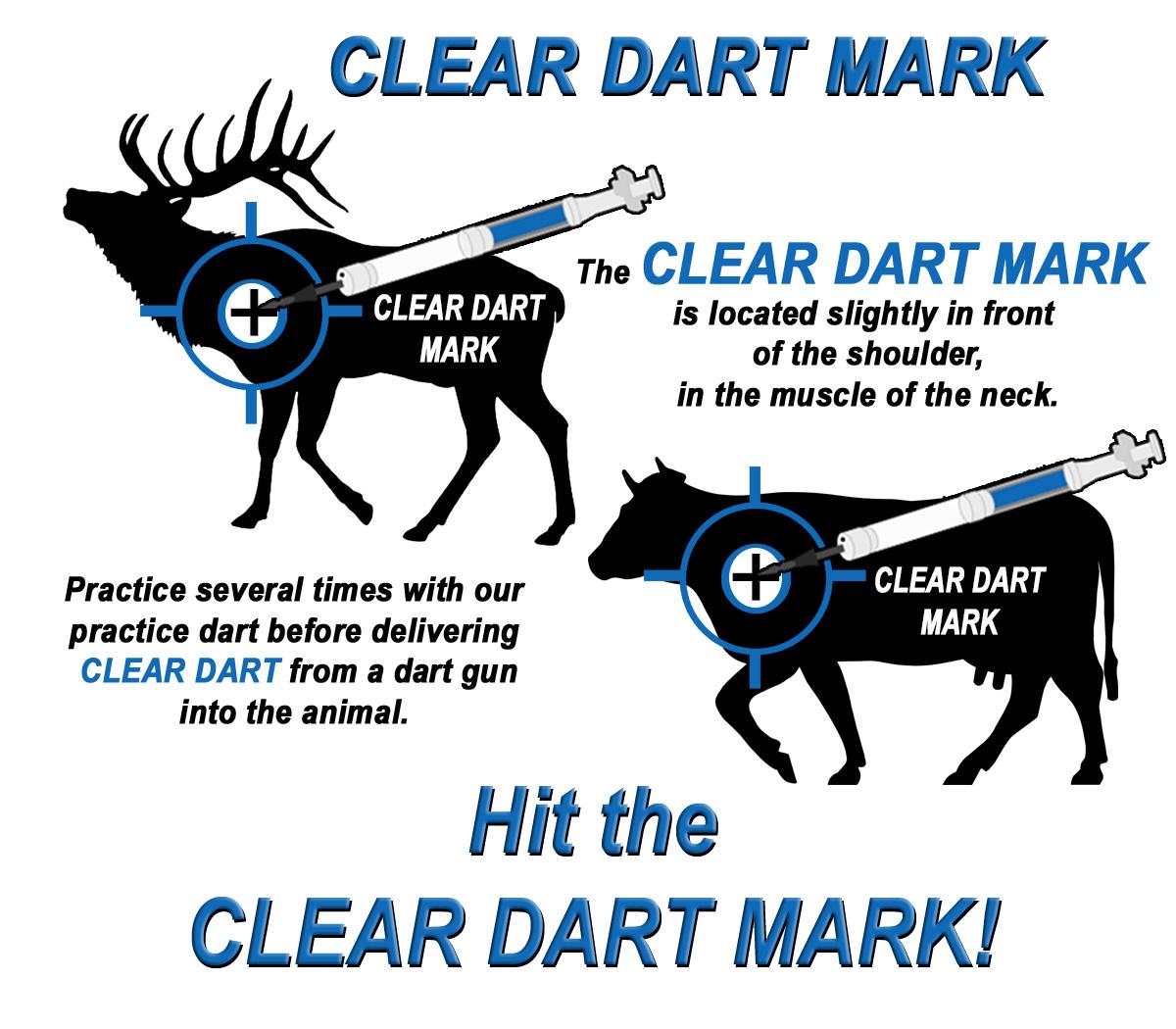 Clear Dart