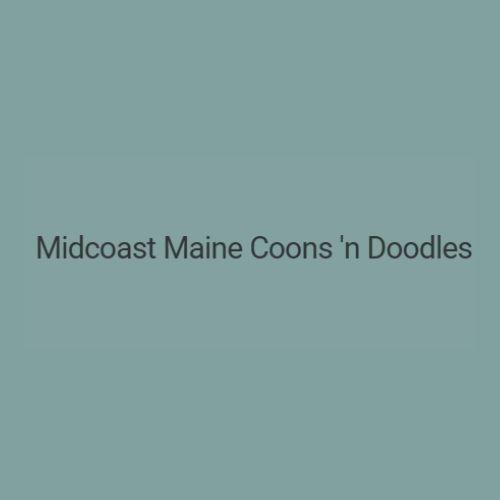 Coons And Doodles