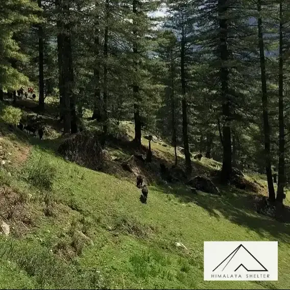 Himalaya Shelter