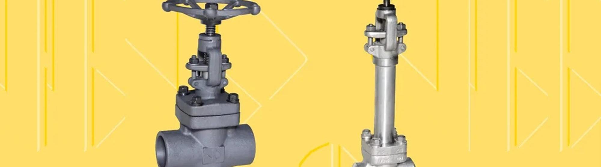 Forged Valves